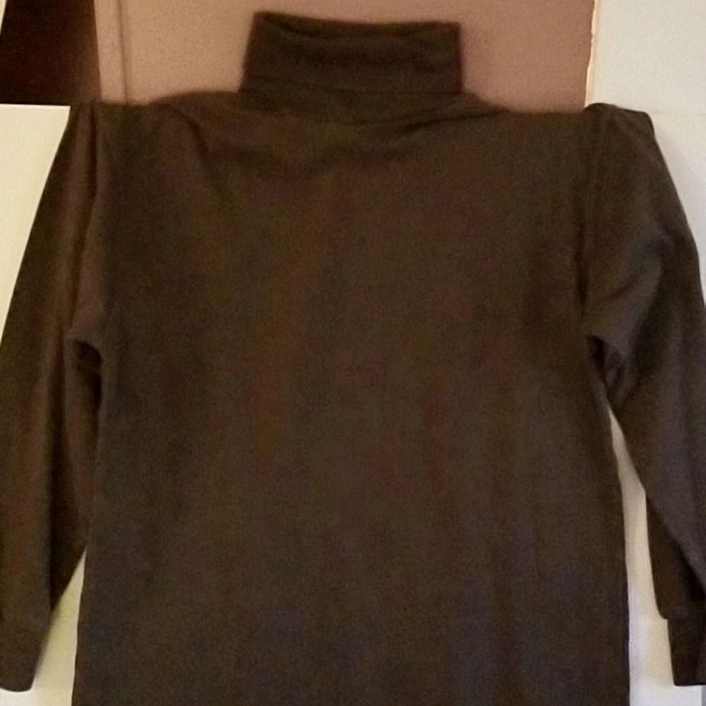 Sienna women's turtleneck
